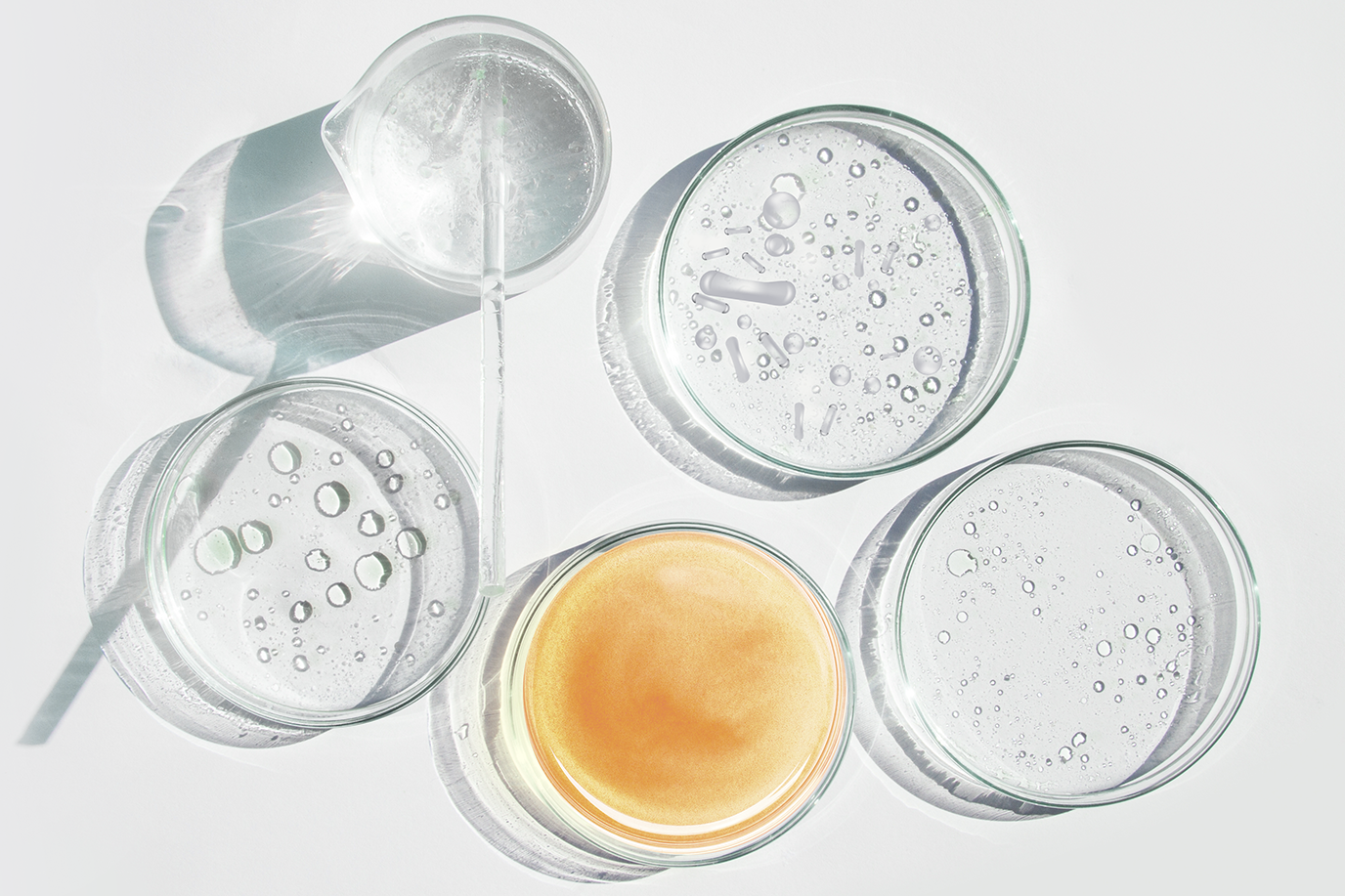 Third key ingredient in Symprove formula