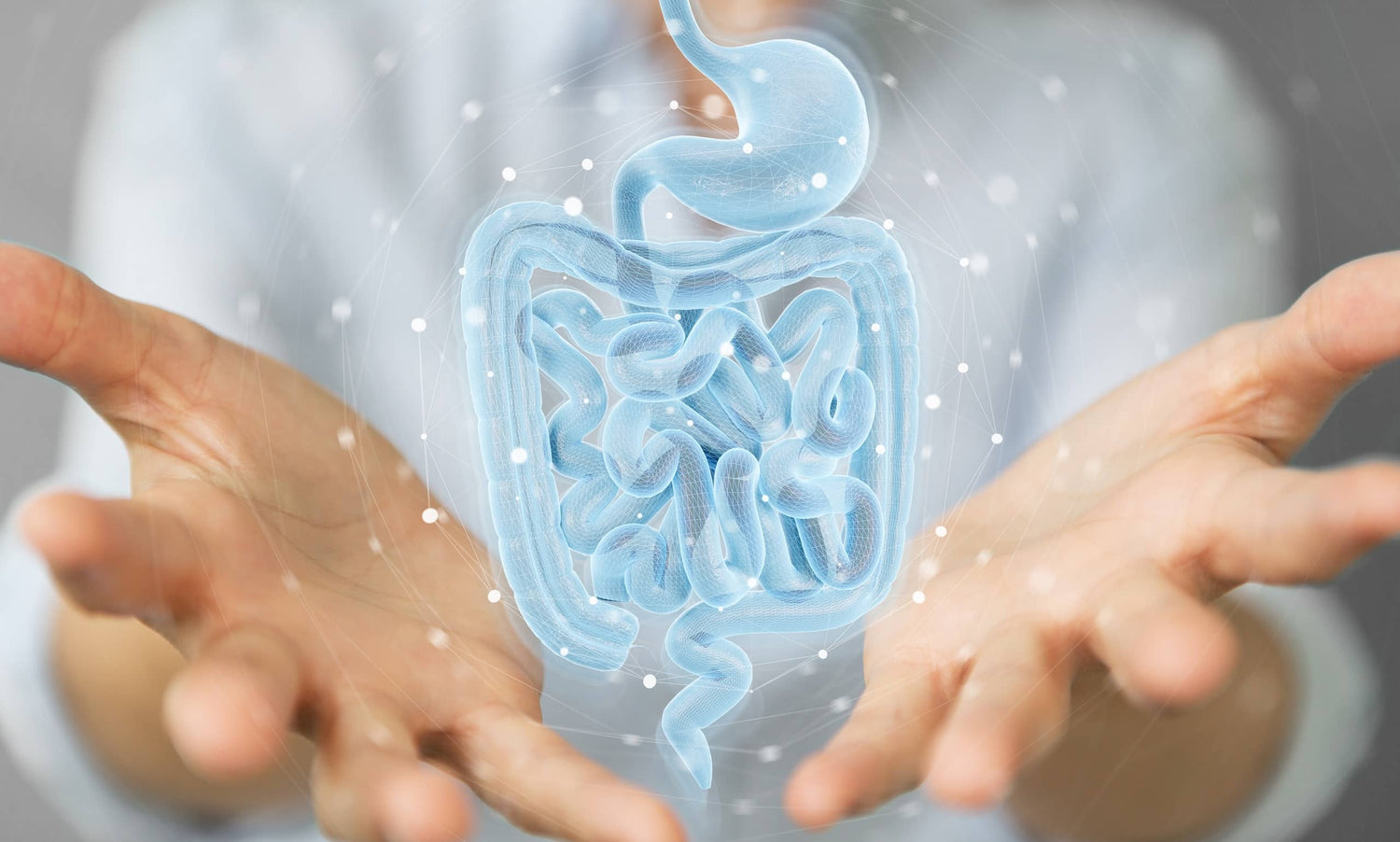 5 Weird and Wonderful Things About the Gut
