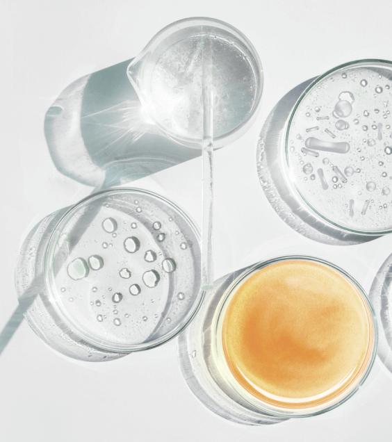 Ask the experts: The power of bacteria