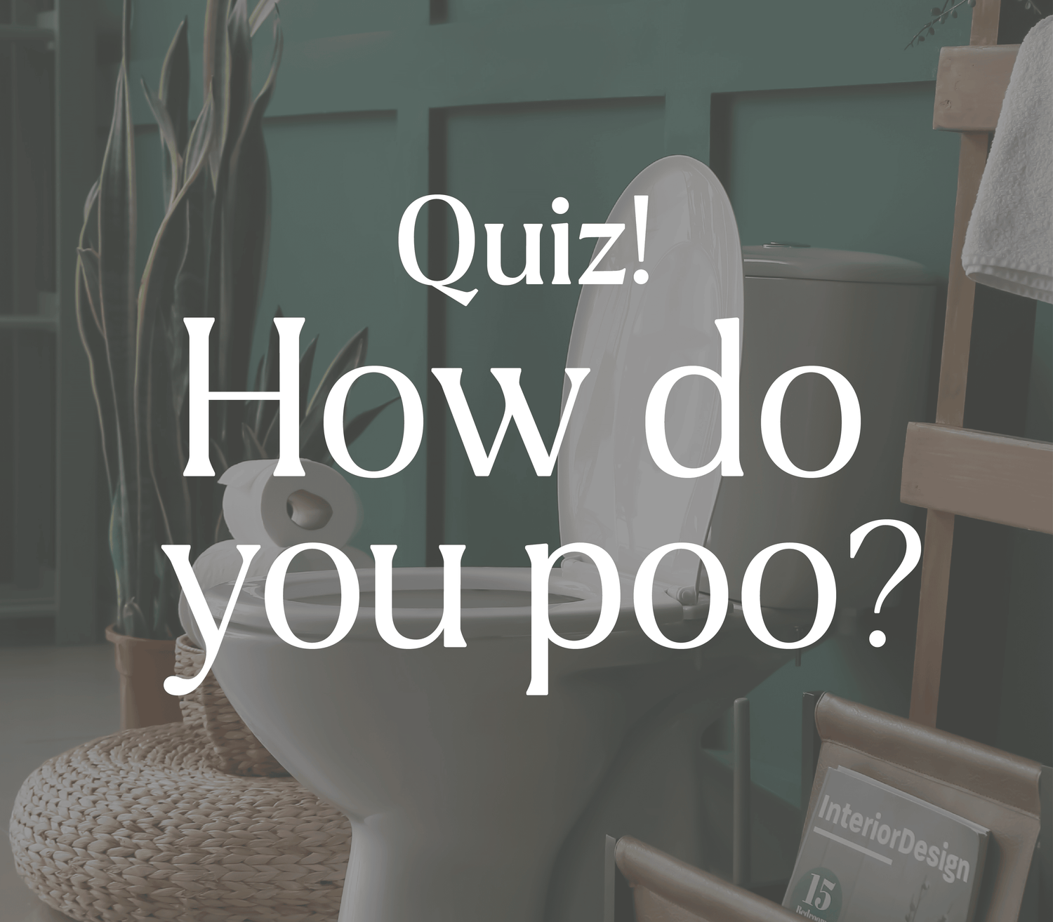 Image of a teal bathroom