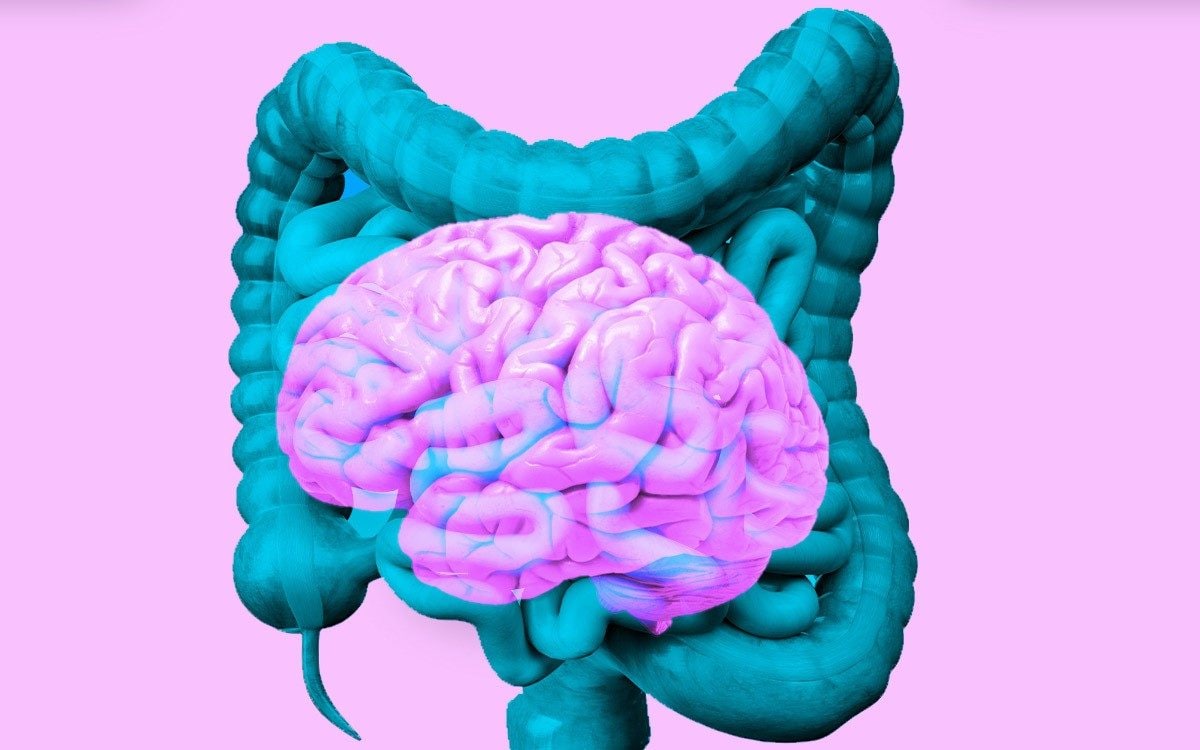 In the news: The key to a healthy brain may lie in your gut