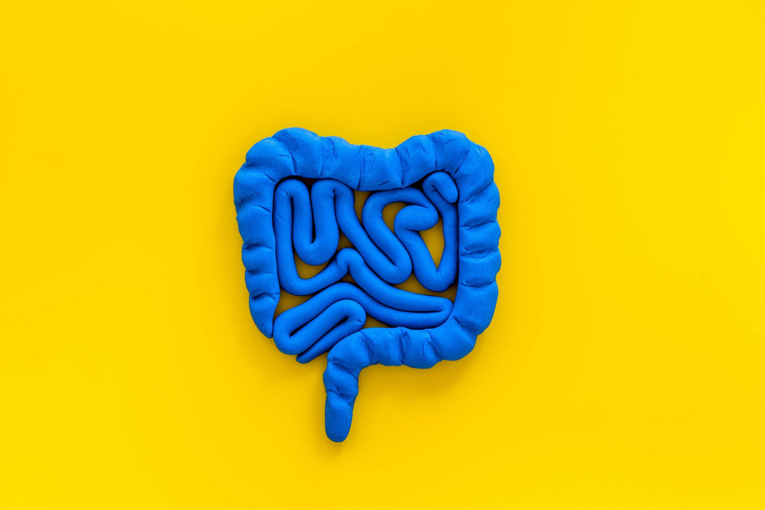 3 reasons why your gut microbiome is important for your health