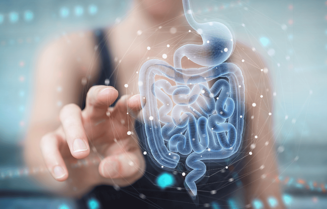 Scientific explanation of gut health